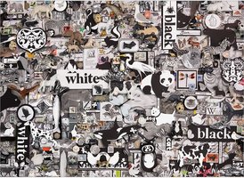 Cobble Hill 1000 - Black & White Animals