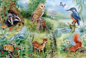 House of Puzzles 250 (XL) - Nature Study