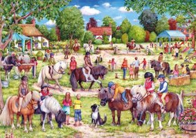 Gibsons 250 (XL) - Shetland Pony Club
