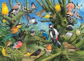 Eurographics 1000 - Garden Birds