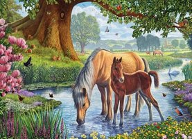 Eurographics 1000 - The Fell Ponies