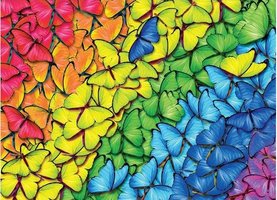 Eurographics 1000 - Butterfly Rainbow