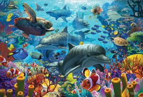 Cobble Hill 2000 - Coral Sea