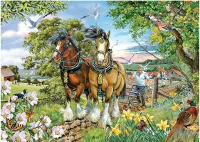 House of Puzzles 250 (XL) - Strenght & Beauty