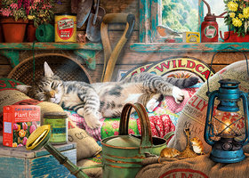 Gibsons 500 (XL) - Snoozing in the Shed